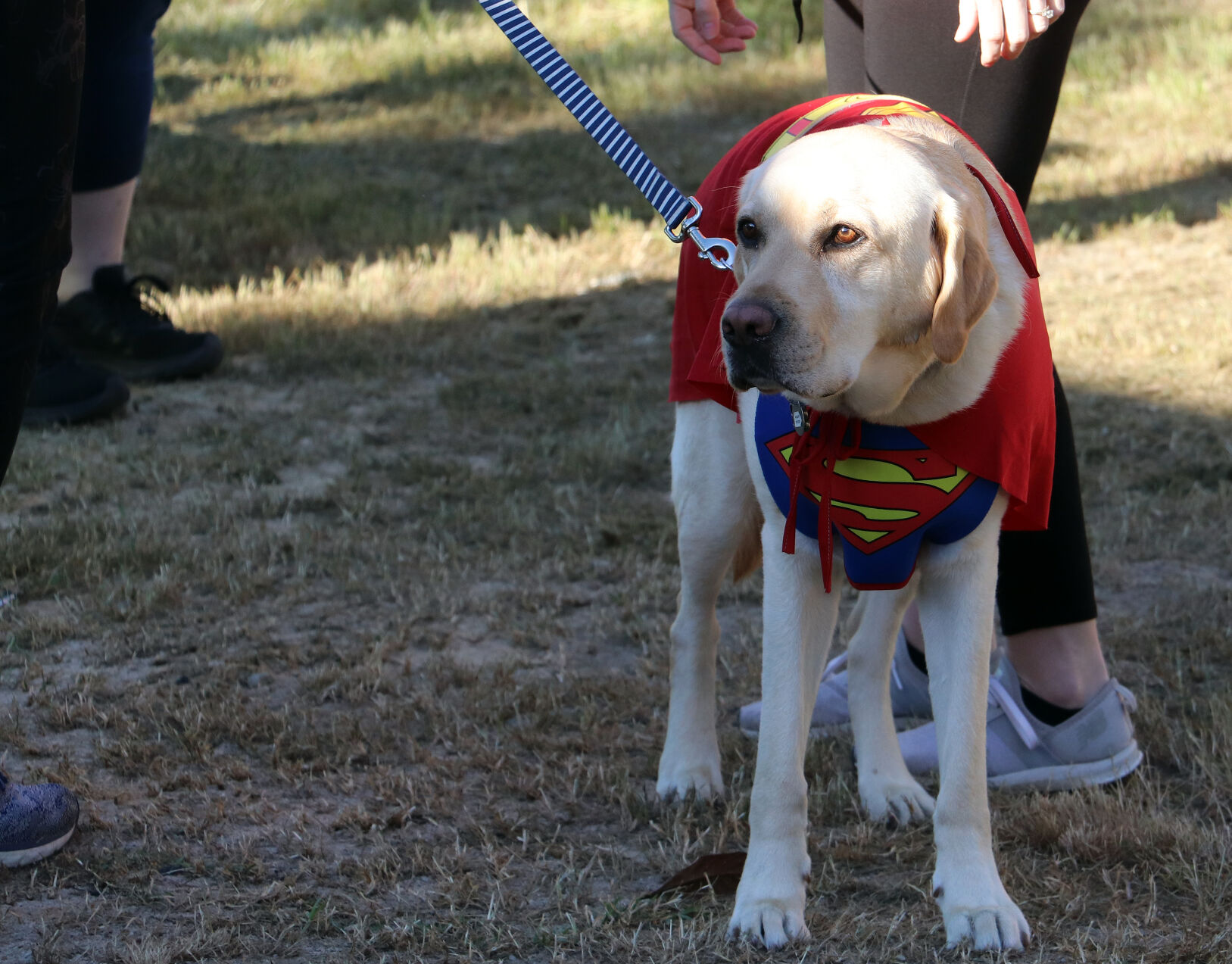 CAPES for Kids